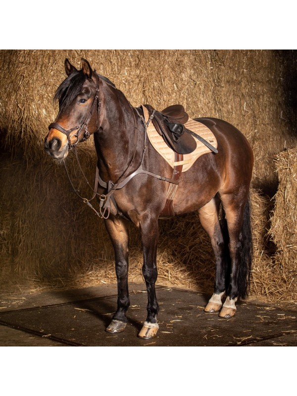 TAPIS DE SELLE CHEVAL OXER HARRY'S HORSE