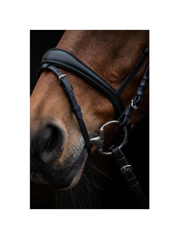 BRIDON EN CUIR CHEVAL AVEC RENES SANGLE KOPENHAGEN  HKM