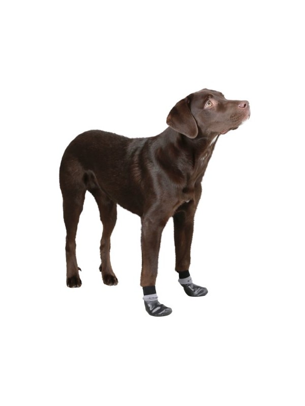 CHAUSSETTES DE PROTECTION POUR CHIEN IMPERMEABLE ET ANTIDERAPANTE SUSI