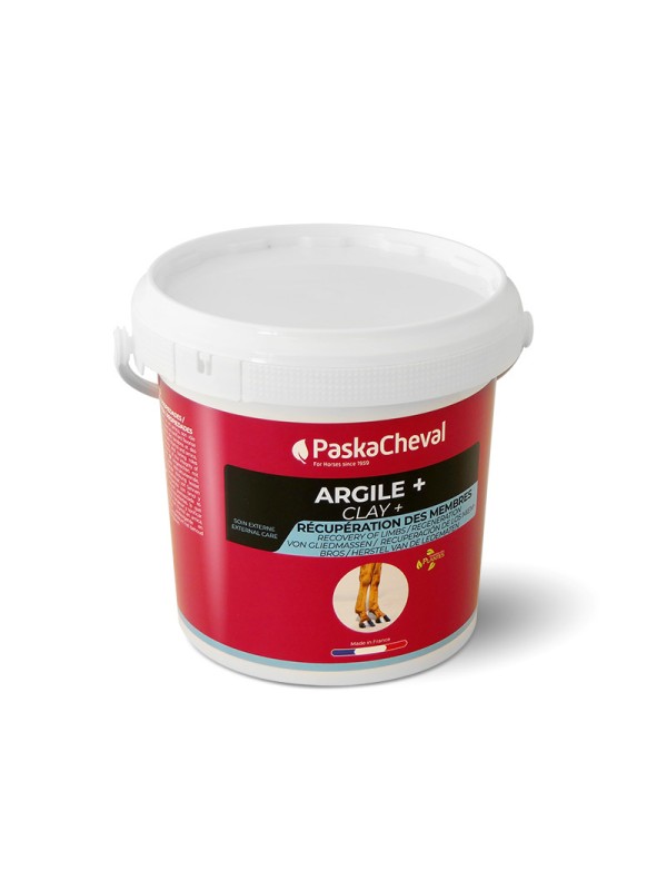 ARGILE + CLAY CHEVAL EN SEAU 1.5 KG PASKACHEVAL