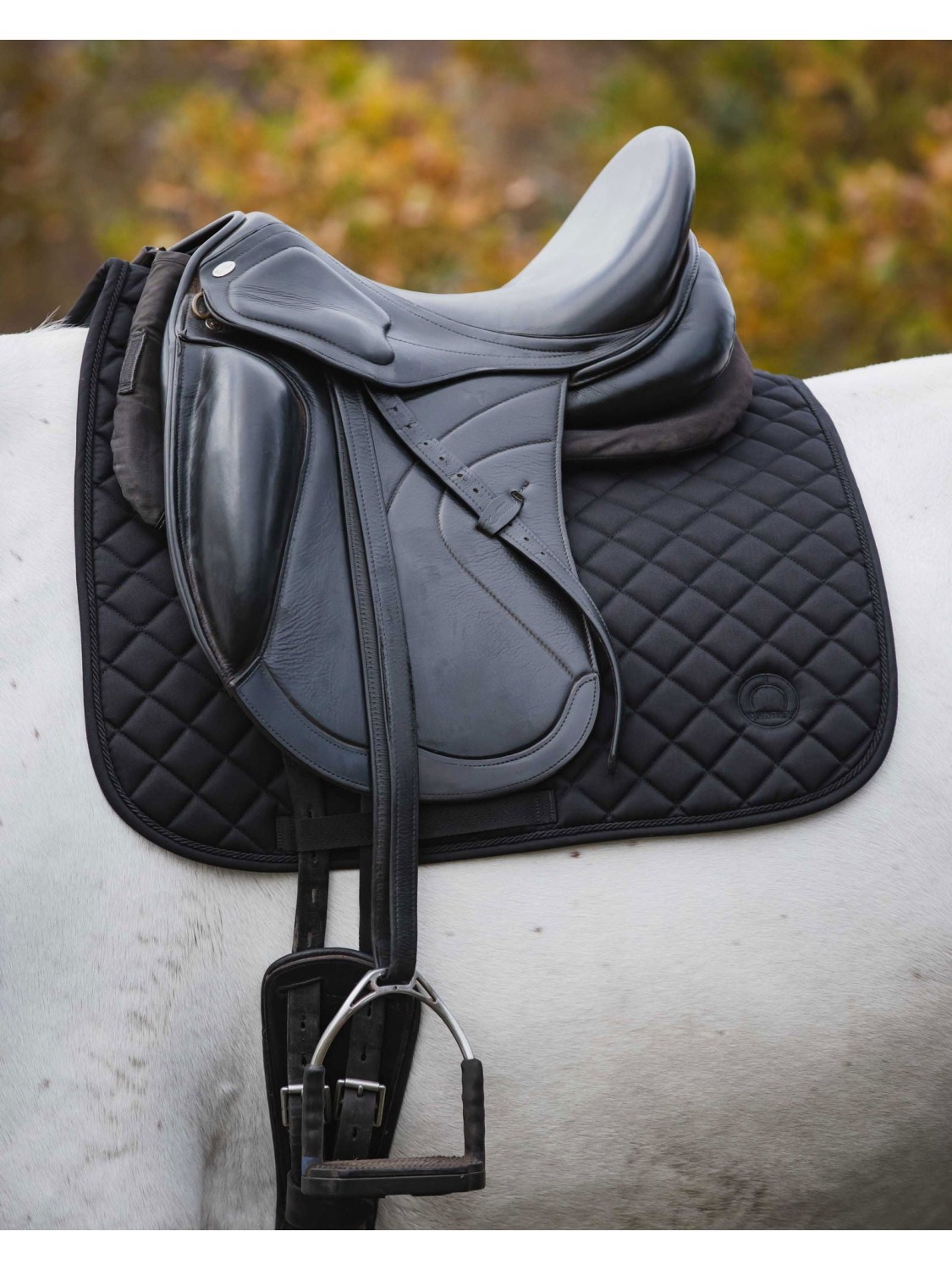 TAPIS DE DRESSAGE CHEVAL MONTAR