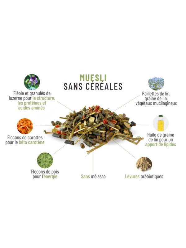 MUESLI SANS CÉRÉALES CGP HORSEFEED