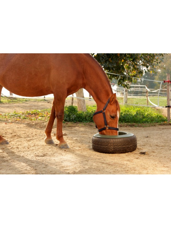 MANGEOIRE DE PNEU POUR CHEVAL 15L KERBL