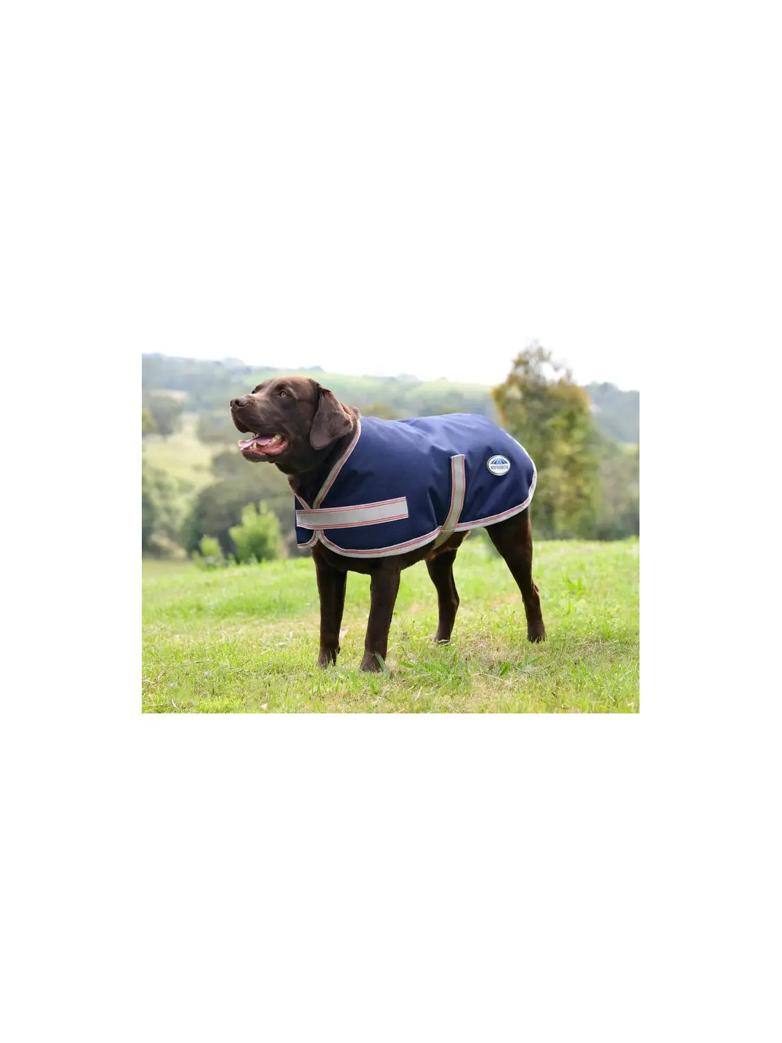 COUVERTURE POUR CHIEN COMFITEC ESSENTIAL WEATHERBEETA