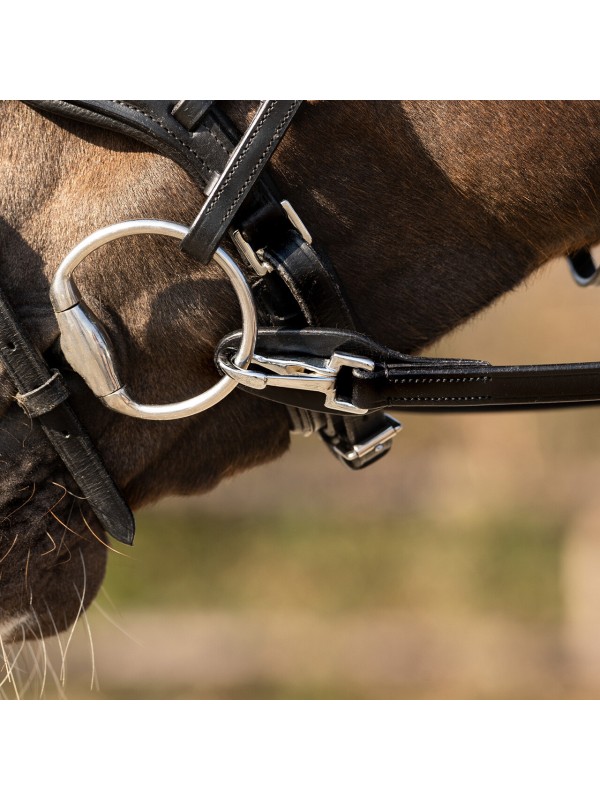 RÊNES À UNE MAIN CHEVAL QHP