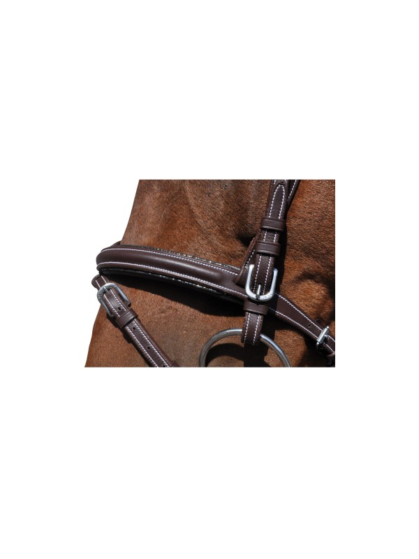 BRIDON CHEVAL EN CUIR "DOHA" FRONTAL ROND BRILLANT ET RENE FLAG&CUP