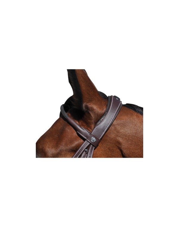 BRIDON CHEVAL EN CUIR "DOHA" FRONTAL ROND BRILLANT ET RENE FLAG&CUP