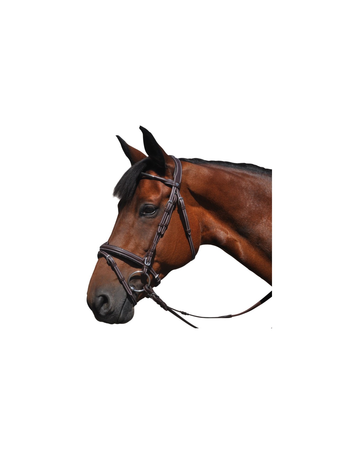 BRIDON CHEVAL EN CUIR "DOHA" FRONTAL ROND BRILLANT ET RENE FLAG&CUP