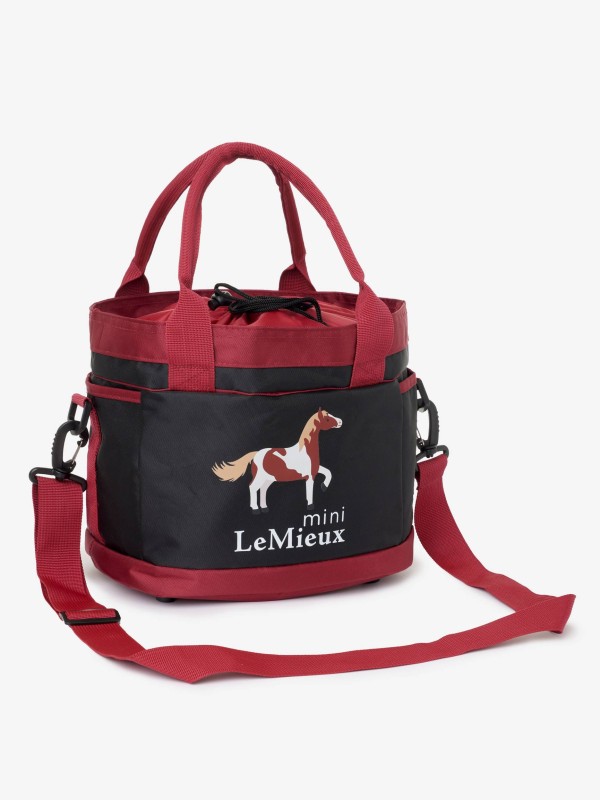 ENSEMBLE DE PANSAGE MINI LEMIEUX