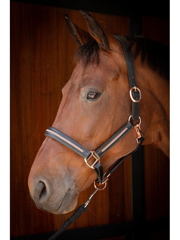 LICOL EN CUIR AVEC STRASS CHEVAL METALLIC HARRY'S HORSE