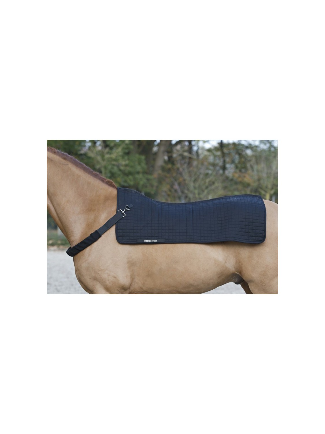 TAPIS CHAUFFE DOS CHEVAL BACK WARMER BACK ON TRACK® - ROYAL