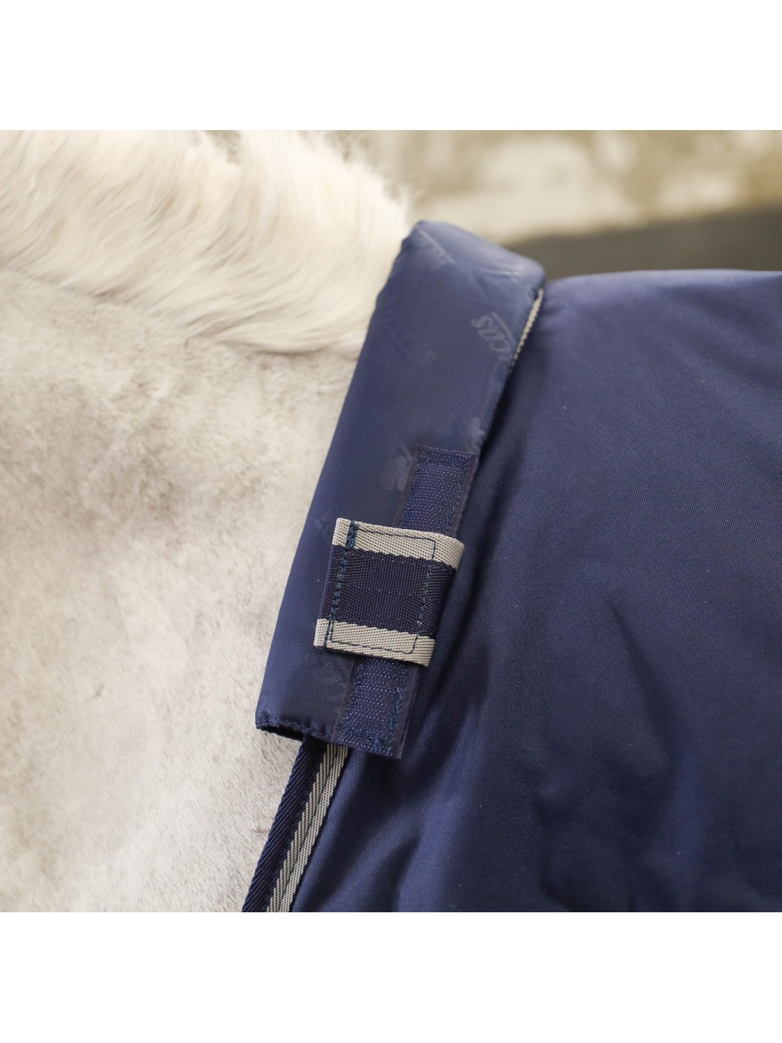 PROTECTION DE GARROT CHEVAL A SCRATCH BUCAS