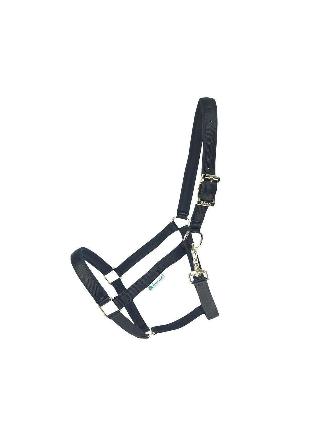 LICOL CHEVAL NEOPRENE DUBLIN BUCAS