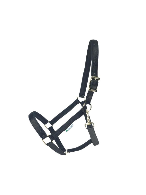 LICOL CHEVAL NEOPRENE DUBLIN BUCAS