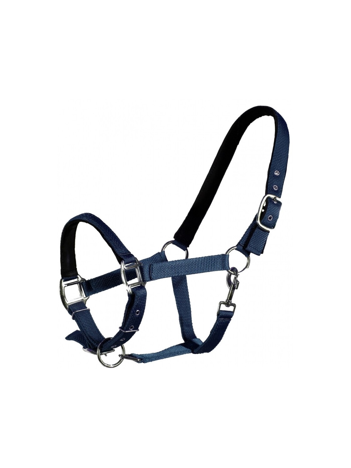 LICOL POUR CHEVAL LINED QHP
