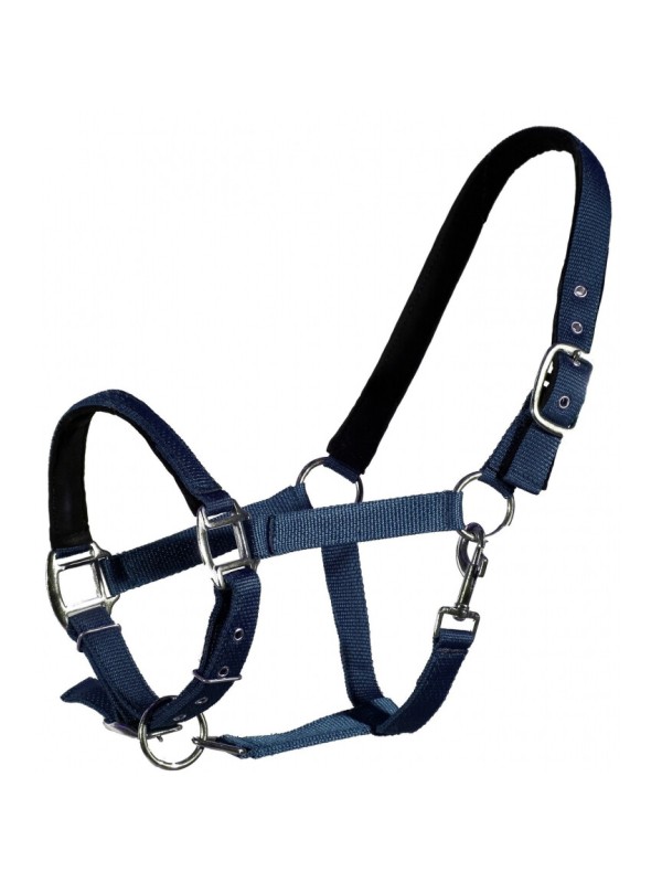 LICOL POUR CHEVAL LINED QHP