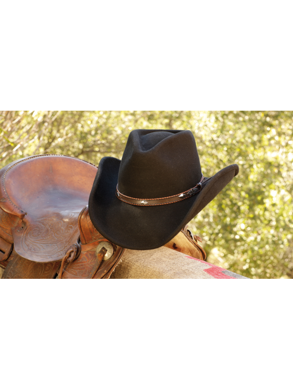 CHAPEAU EN FEUTRE DALLAS STAR&STRIPES