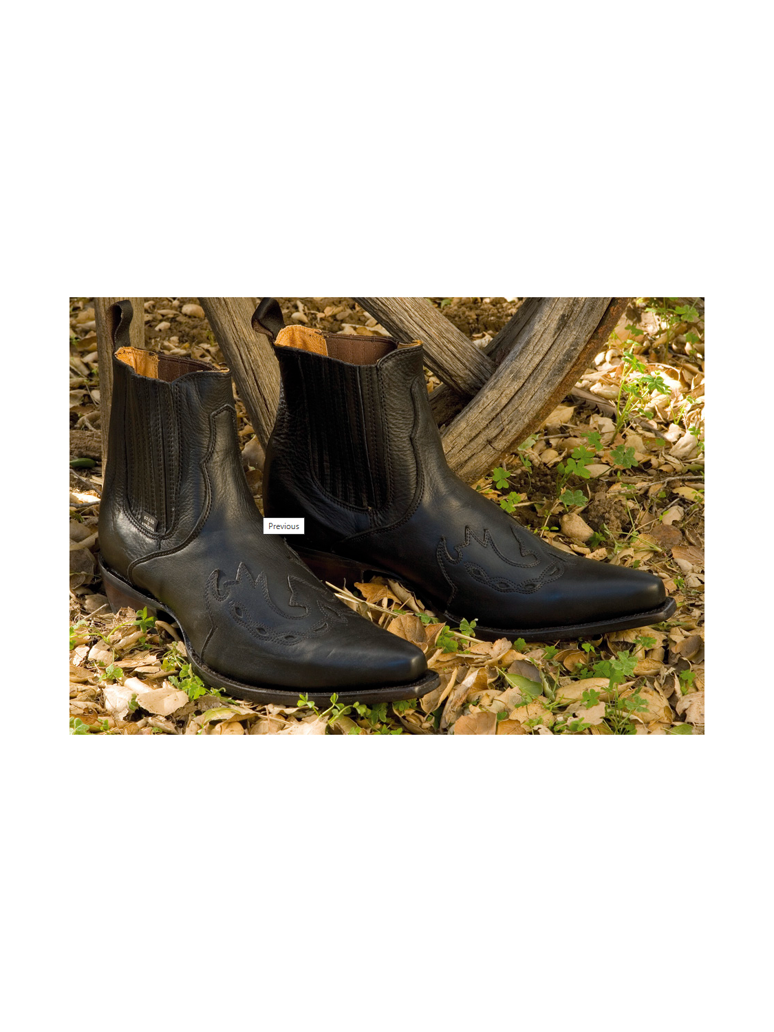 SANTIAG COURTE EN CUIR STARS&STRIPES