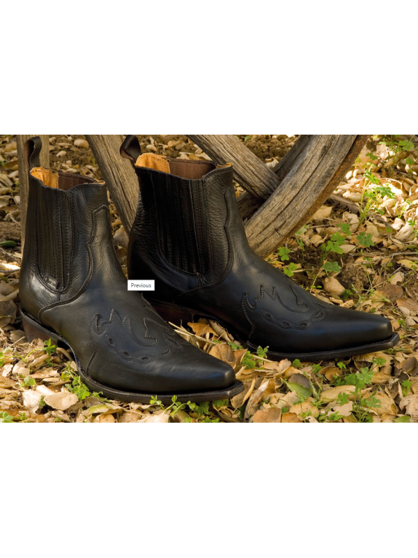 SANTIAG COURTE EN CUIR STARS&STRIPES