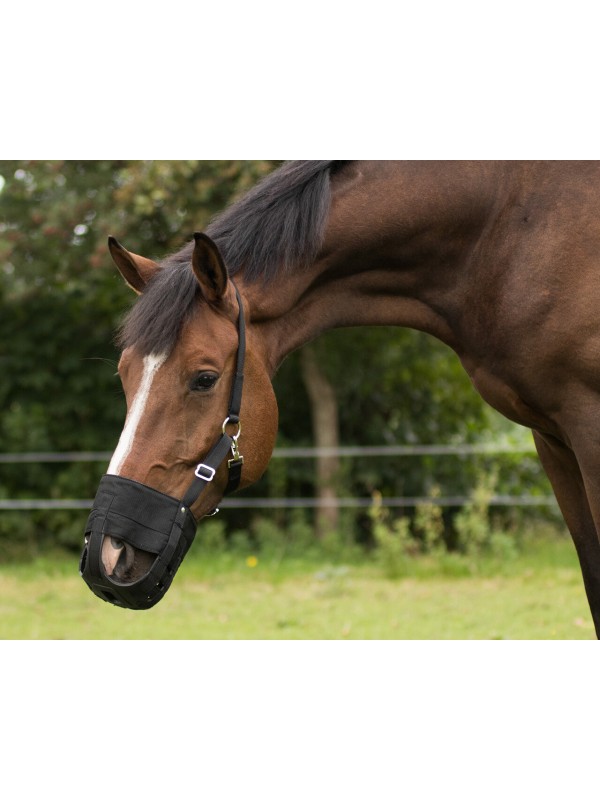 PANIER ANTI-FOURBURES POUR CHEVAUX QHP