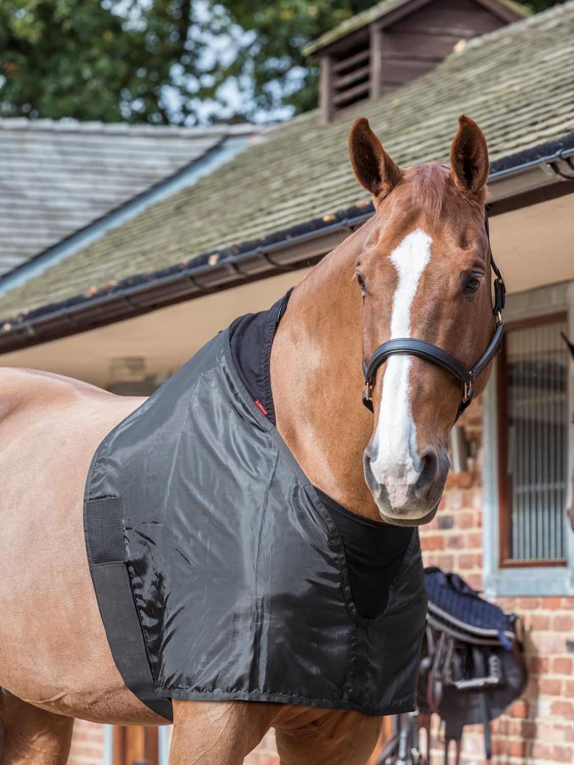 PROTECTION DE POITRAIL POUR COUVERTURE CHEVAL LEMIEUX