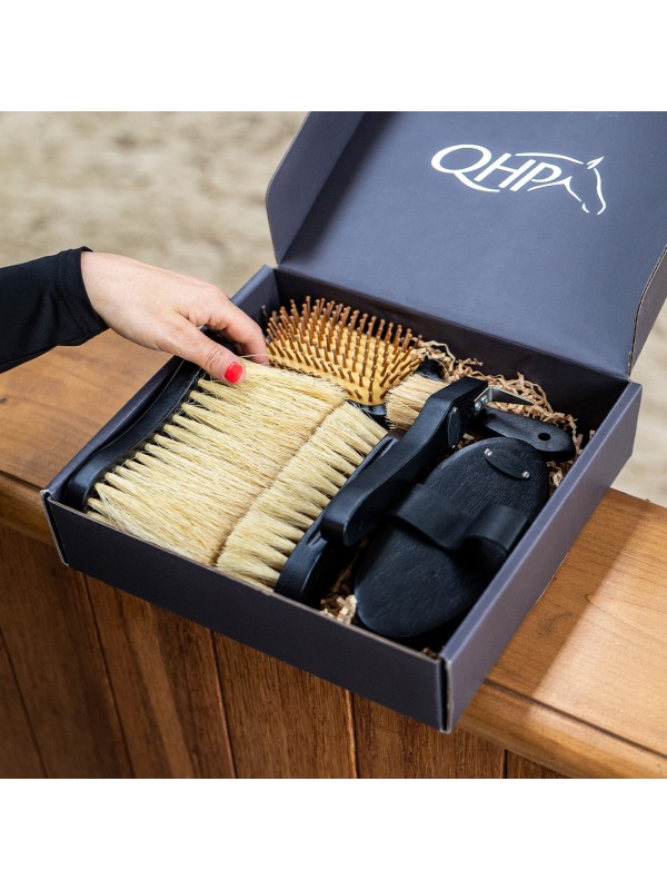 COFFRET DE PANSAGE POUR CHEVAUX "ROYAL" QHP