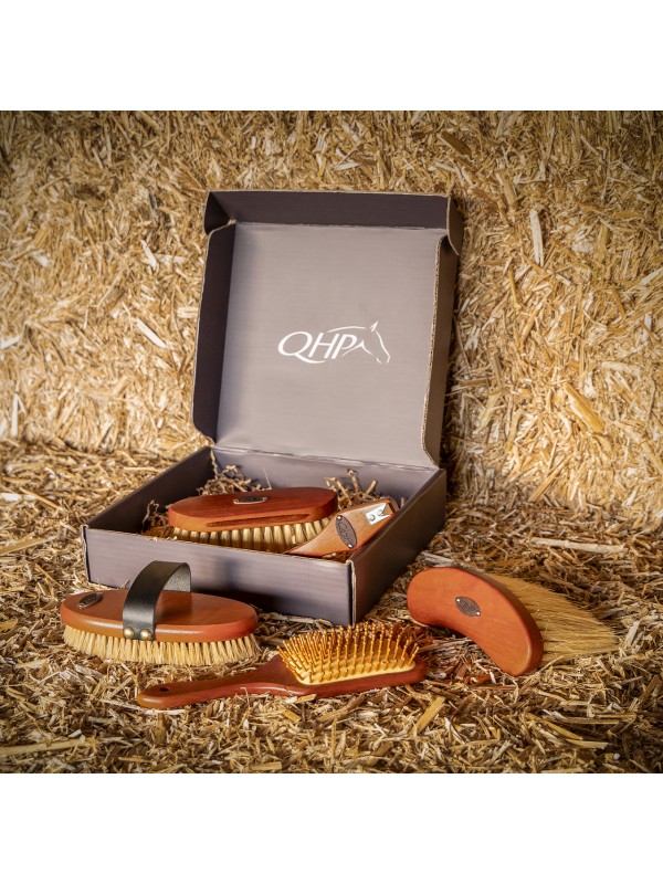 COFFRET DE PANSAGE POUR CHEVAUX "ROYAL" QHP