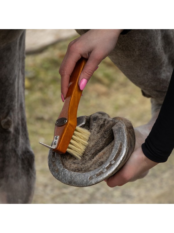 COFFRET DE PANSAGE POUR CHEVAUX "ROYAL" QHP