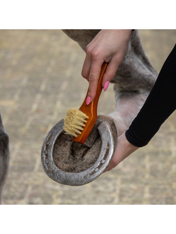 COFFRET DE PANSAGE POUR CHEVAUX "ROYAL" QHP