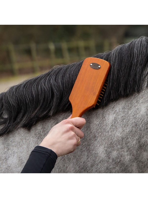 COFFRET DE PANSAGE POUR CHEVAUX "ROYAL" QHP