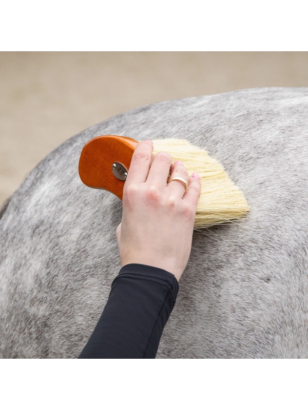 COFFRET DE PANSAGE POUR CHEVAUX "ROYAL" QHP