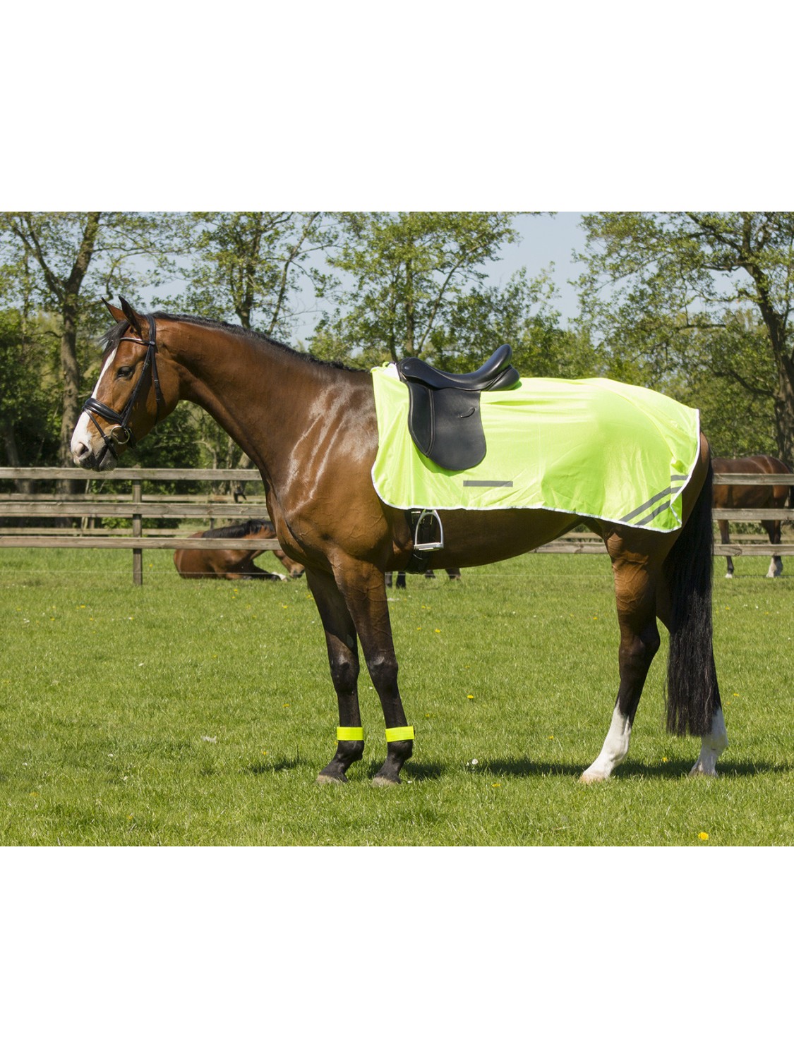 COUVRE REIN REFLECTIVE