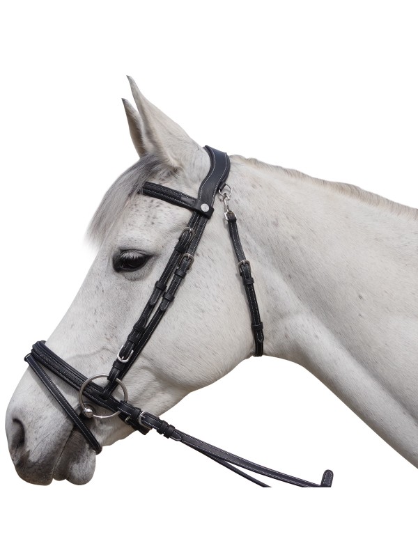 BRIDON CHEVAL EN CUIR STRASS AACHEN TETIERE ANATOMIQUE FLAGS AND CUP