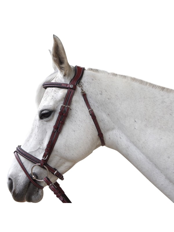 BRIDON CHEVAL EN CUIR STRASS AACHEN TETIERE ANATOMIQUE FLAGS AND CUP