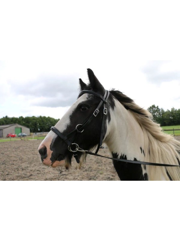 SIDEPUL CHEVAL PARDOES SYSTEME 3 - FRA