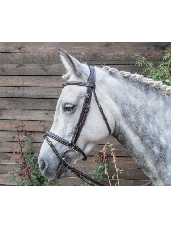 BRIDON CHEVAL EN CUIR, SURPIQUURE "KESSEL" TDET