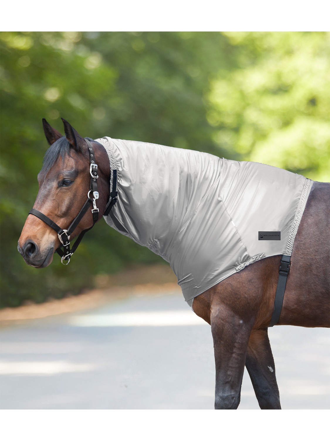 COUVRE-COU ANTI ECZEMA CHEVAL WALDHAUSEN