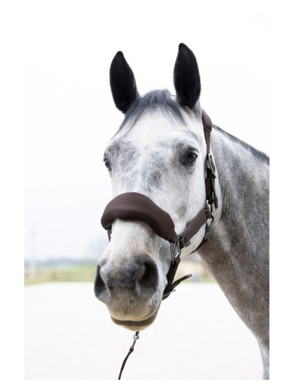 LICOL ET LONGE EN MESH "DORAI" PROCONFORT HARCOUR