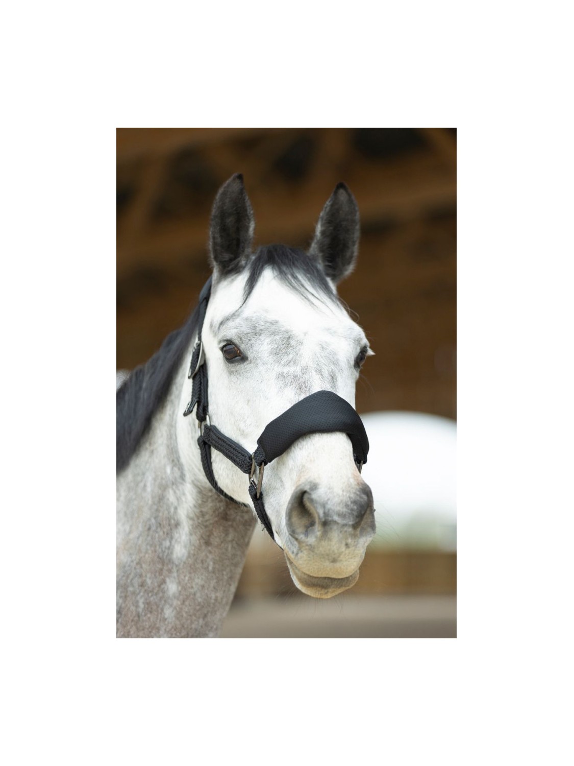 LICOL ET LONGE EN MESH "DORAI" PROCONFORT HARCOUR