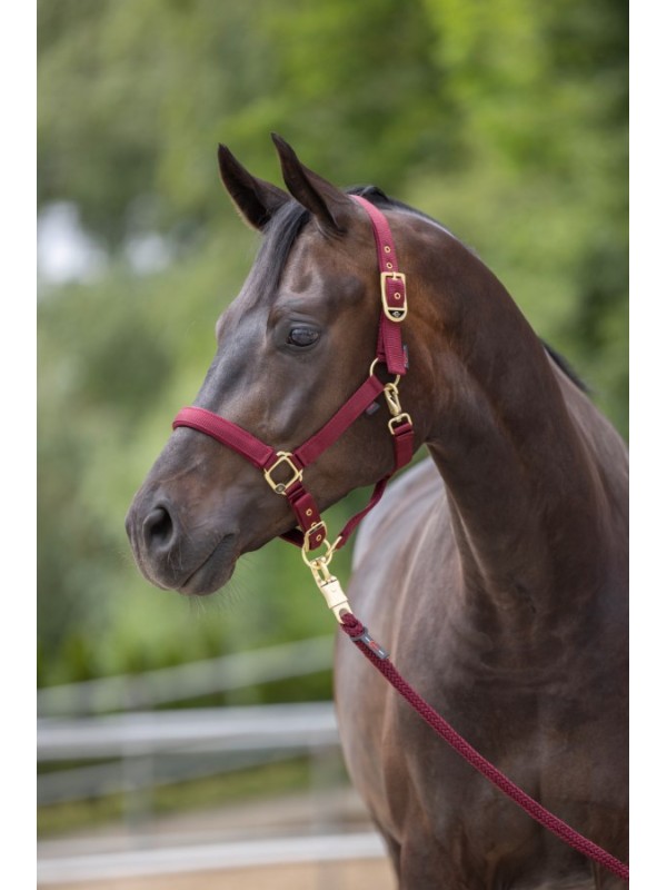 LICOL CHEVAL "CLASSY" KERBL