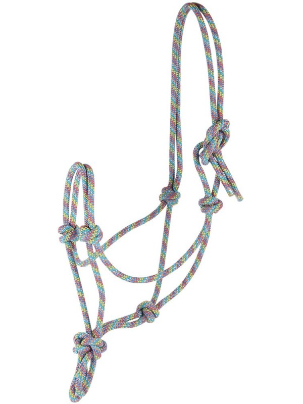 LICOL ETHOLOGIQUE EN CORDE, HARRYS HORSE