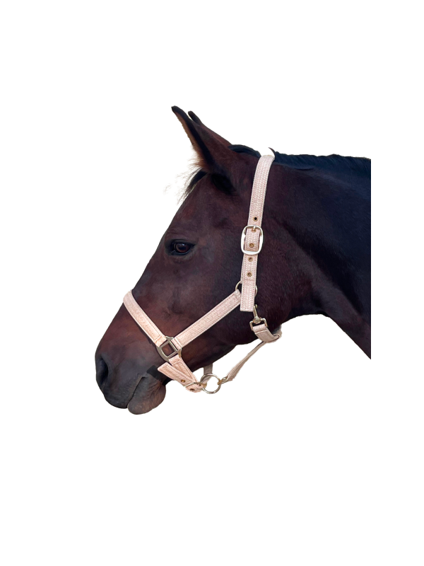 LICOL CHEVAL "MALIBU" CANTER