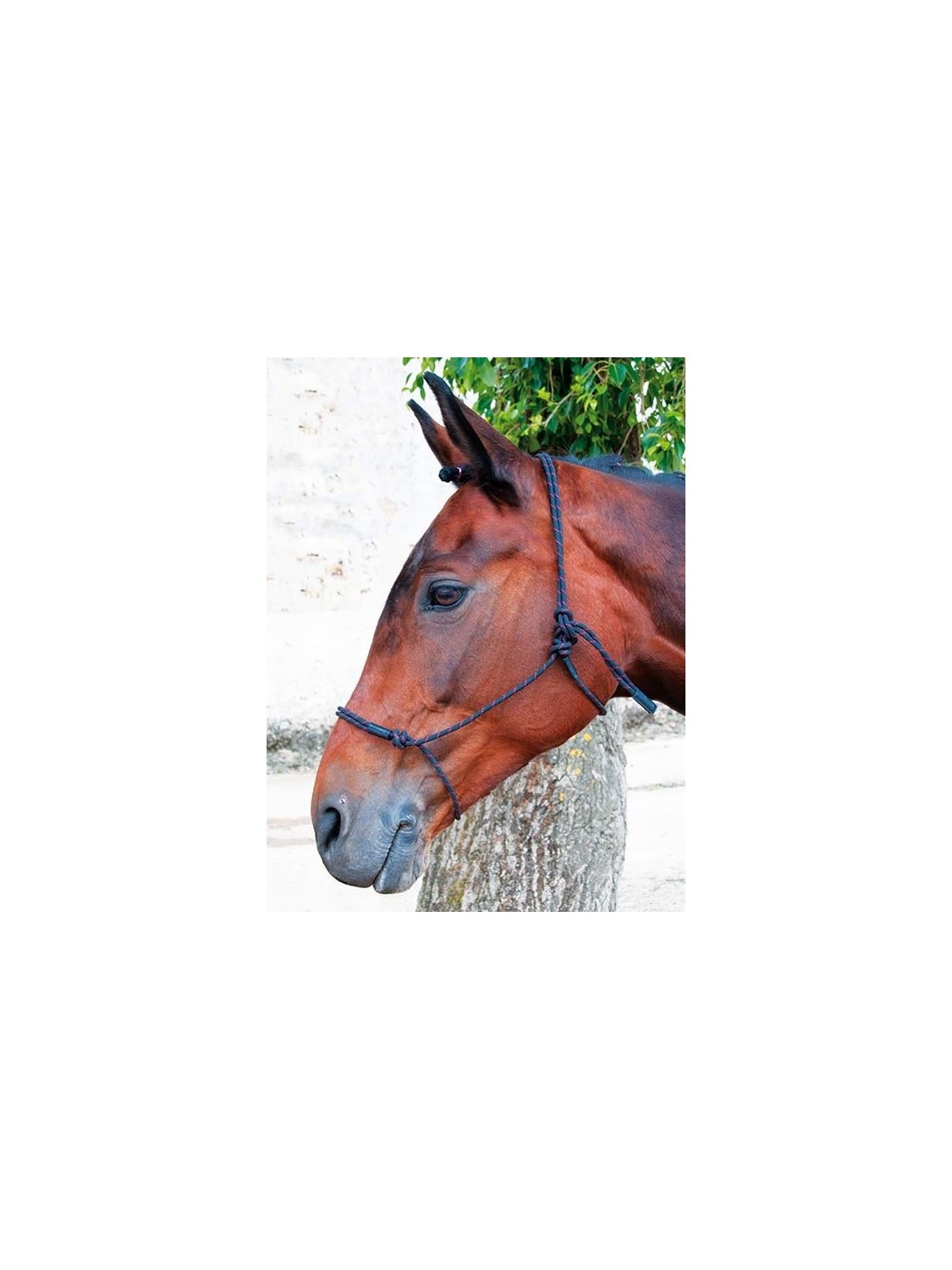 LICOL ETHOLOGIQUE EN CORDE "PRO" TDET