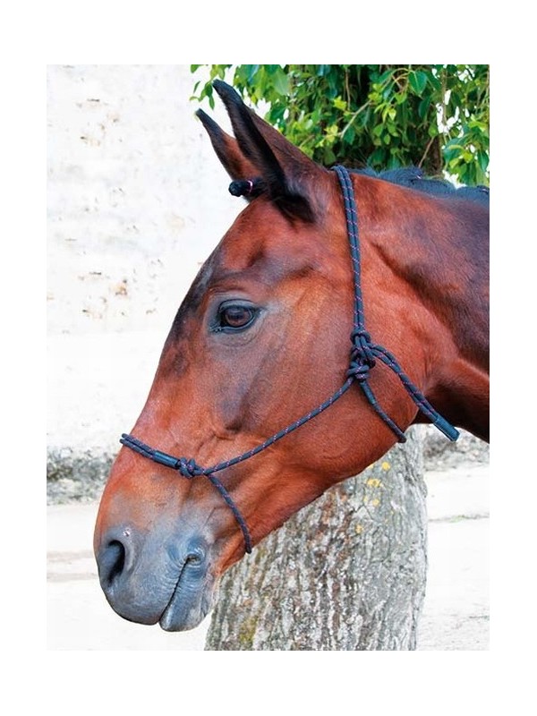 LICOL ETHOLOGIQUE EN CORDE "PRO" TDET