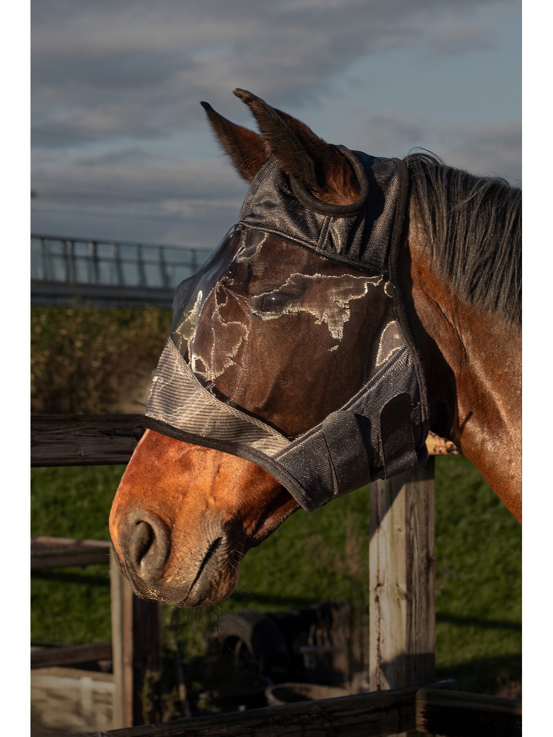 MASQUES ANTIMOUCHES SANS OREILLES "FLYSHIELD" HARRY'S HORSE