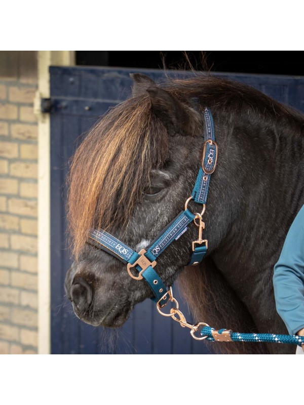 LICOL ET LONGE POUR CHEVAL "EQUESTRIAN SOCIETY" HARRY'S HORSE