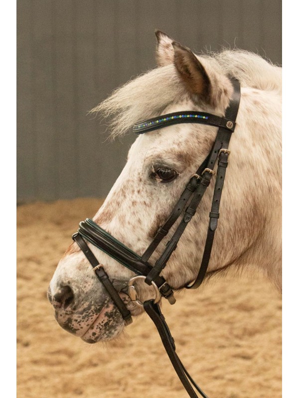 BRIDON POUR PONEY  "STOUT! LIME" HARRY'S HORSE