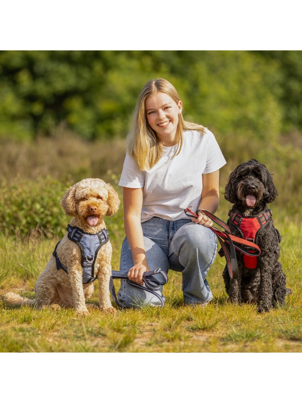 LAISSES POUR CHIENS 1.5M ETE26 "QHP"