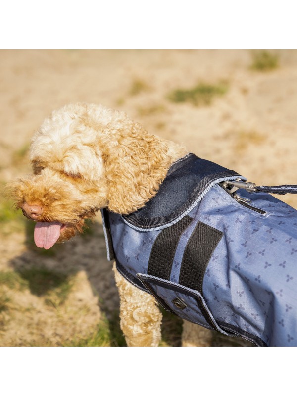 LAISSES POUR CHIENS 1.5M ETE26 "QHP"