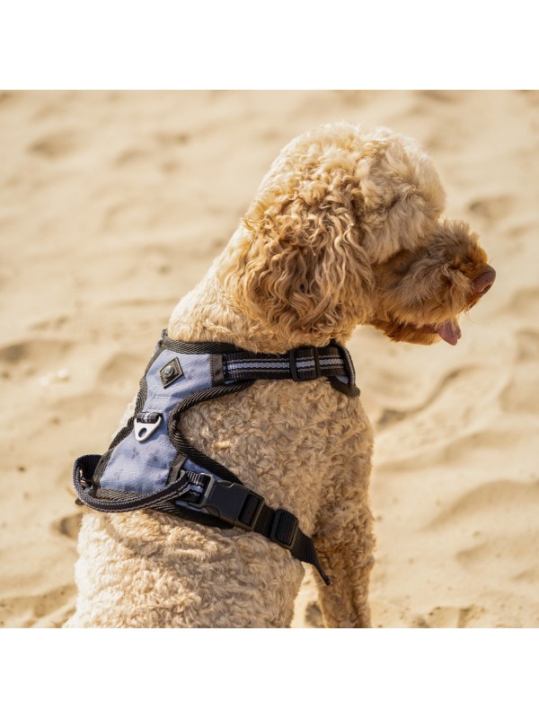 HARNAIS POUR CHIEN ETE26 "QHP"